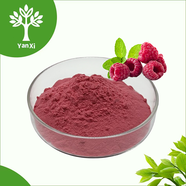 Freeze-Dried Raspberry Powder Bulk Freeze-Dried Raspberry Powder Bulk